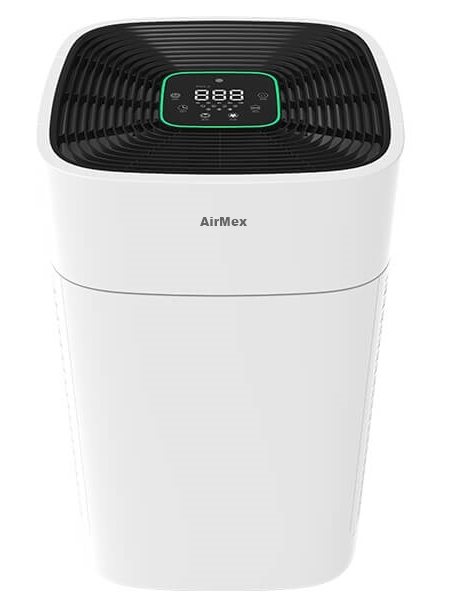 AP 800